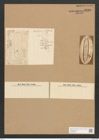 Scoliopleura latestriata (Breb.) Grun. (de-Toni-Nr.: Genus 14, Species 1107) Zeichnungen Sammlung Grunow Nr. 2189 (NHMW-BOT-W0369260)